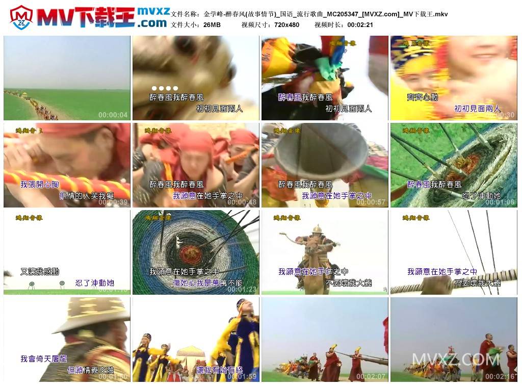 金学峰-醉春风(故事情节)_国语_流行歌曲_MC205347